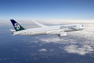 濟(jì)寧市機(jī)票加盟代理與航空票務(wù)服務(wù)全解析 價(jià)格、規(guī)格及軟件開(kāi)發(fā)