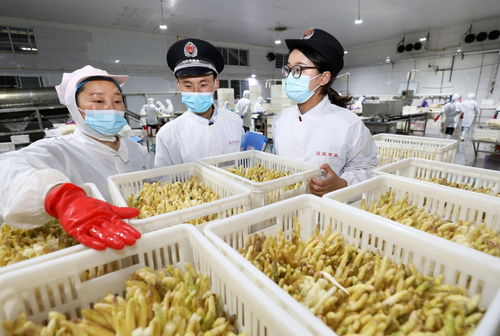 網(wǎng)絡(luò)銷售特殊食品安全合規(guī)指南 引領(lǐng)行業(yè)規(guī)范發(fā)展新方向